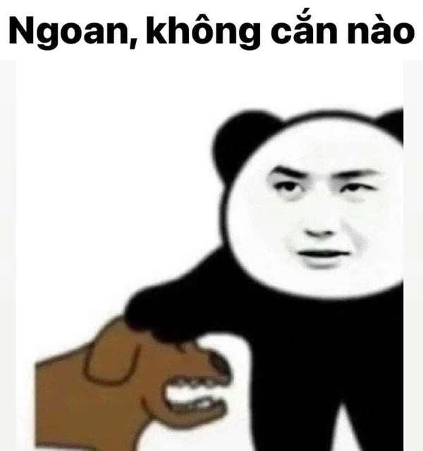meme bóp cổ cặp đôi