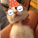 meme bóp cổ hài hước