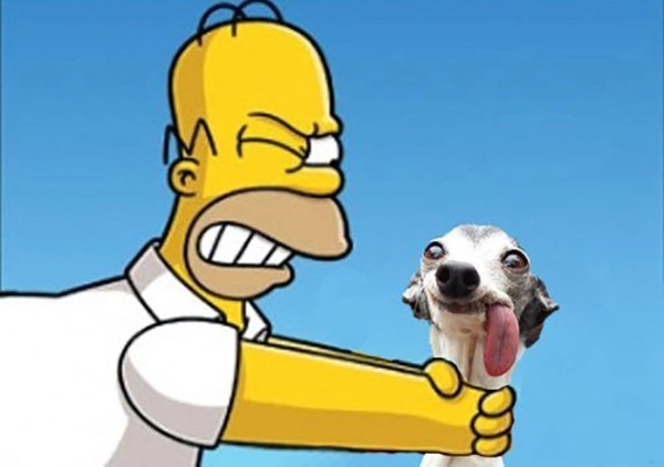 meme bóp cổ troll
