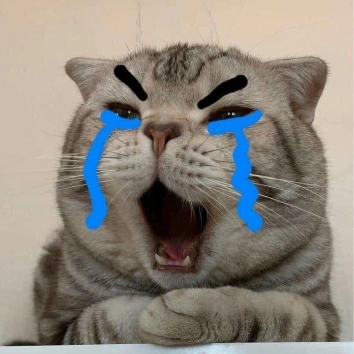 meme bựa bá đạo