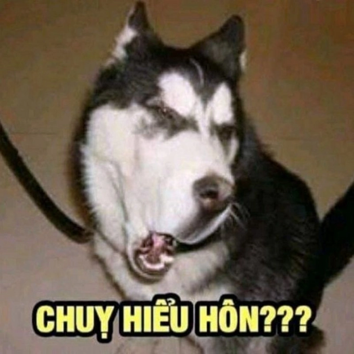 meme bựa khó đỡ