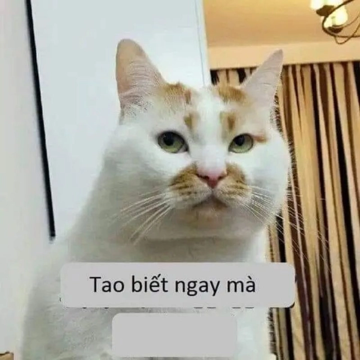 meme bựa troll face