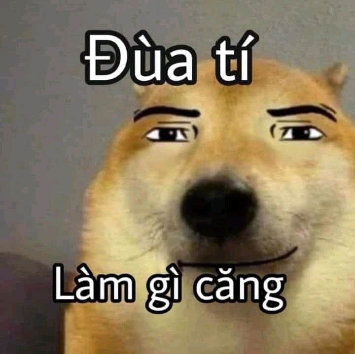 meme bựa troll vui