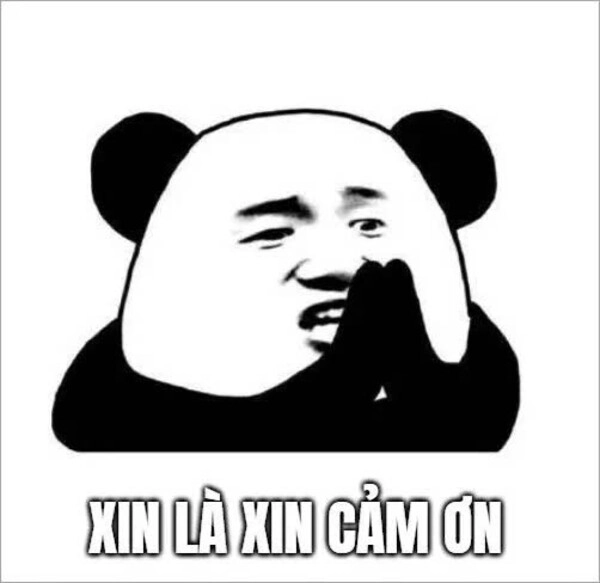meme cảm ơn bạn