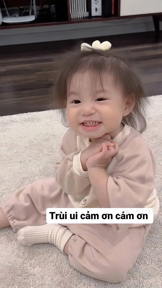 meme cảm ơn cute