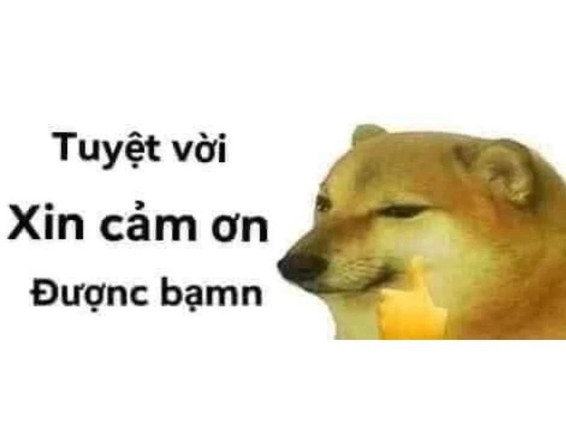 meme cảm ơn đáng yêu