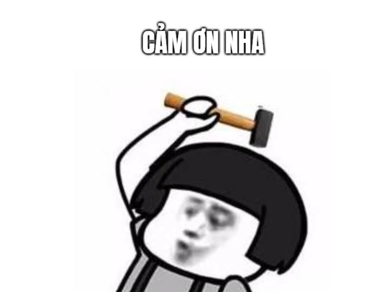 meme cảm ơn dễ thương