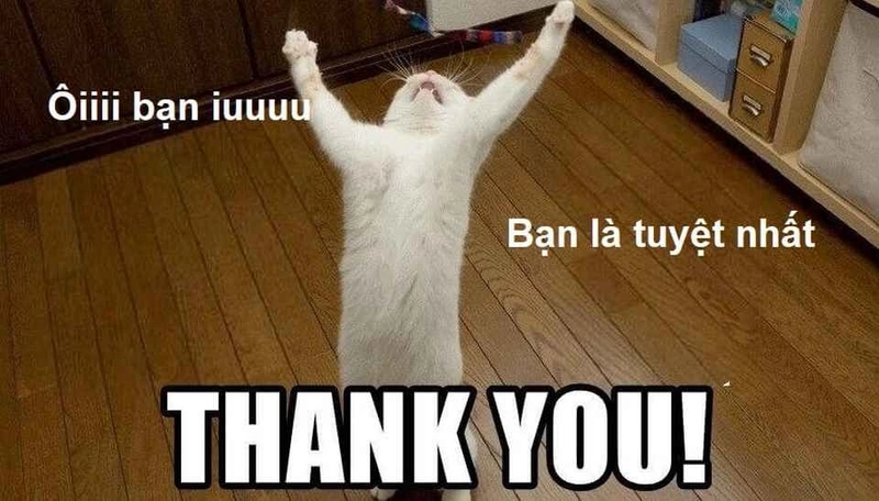 meme cảm ơn độc đáo