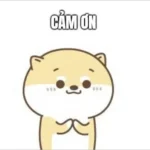 meme cảm ơn em