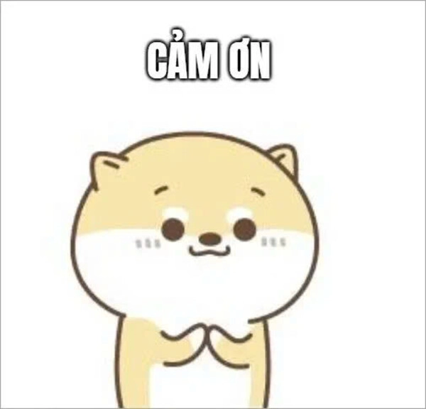 meme cảm ơn em