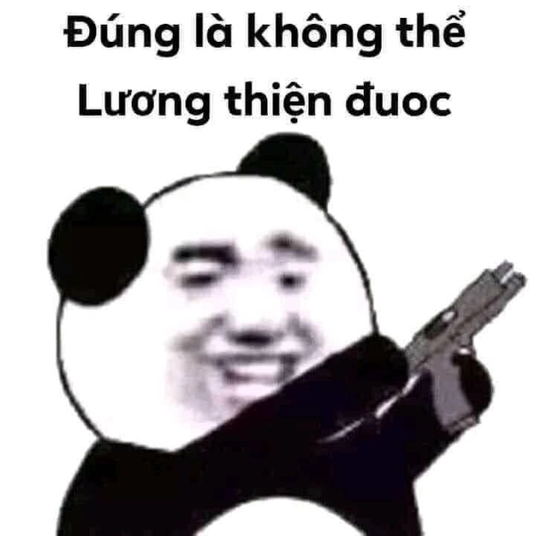 meme cầm súng chó hài