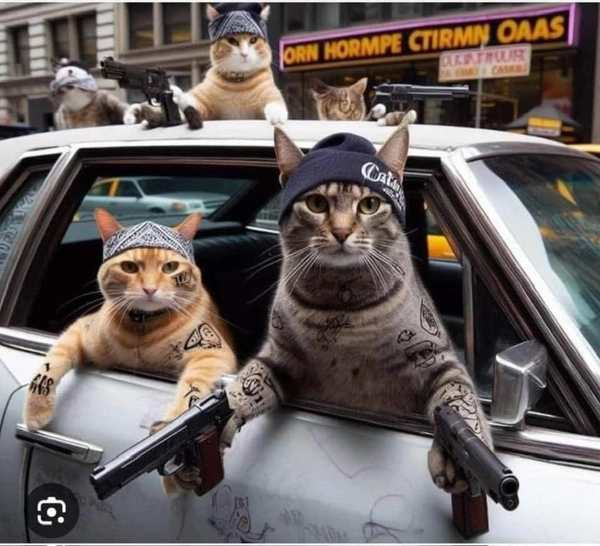 meme cầm súng cực lầy