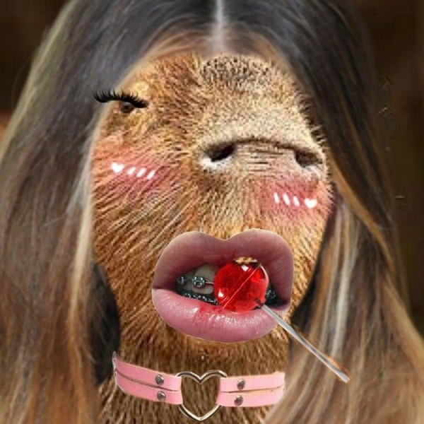meme capybara ăn hoa quả