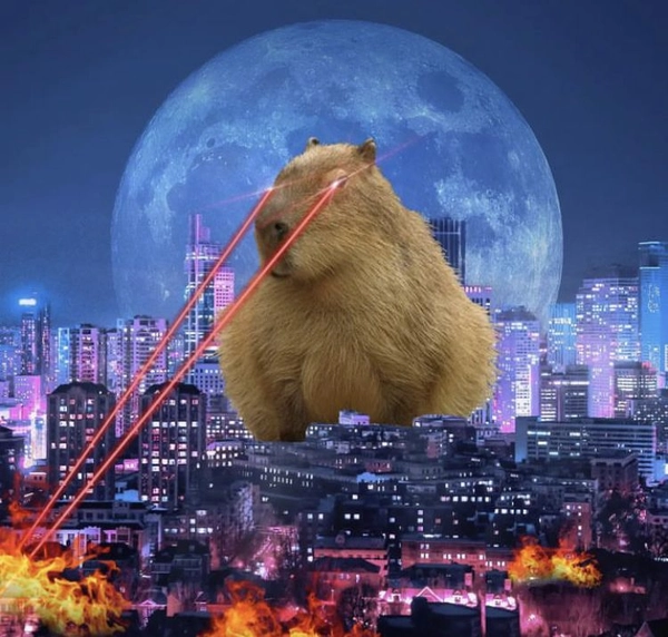 meme capybara bựa