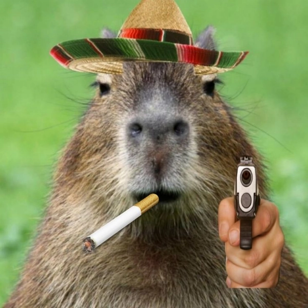 meme capybara cầm súng