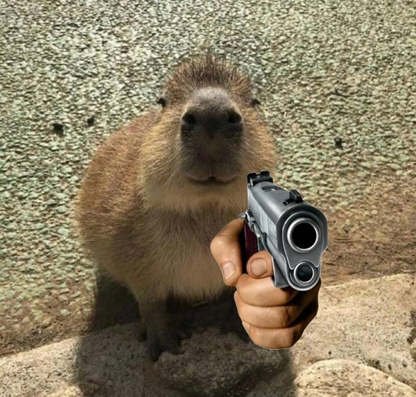 meme capybara dọa