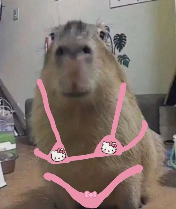 meme capybara nhảy múa