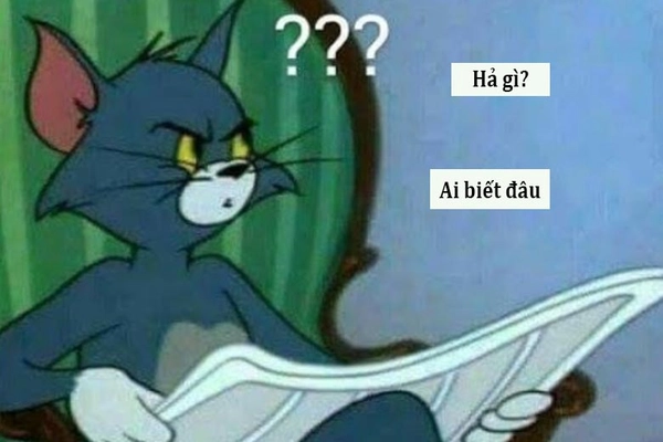 meme chẳng ai biết gì đâu