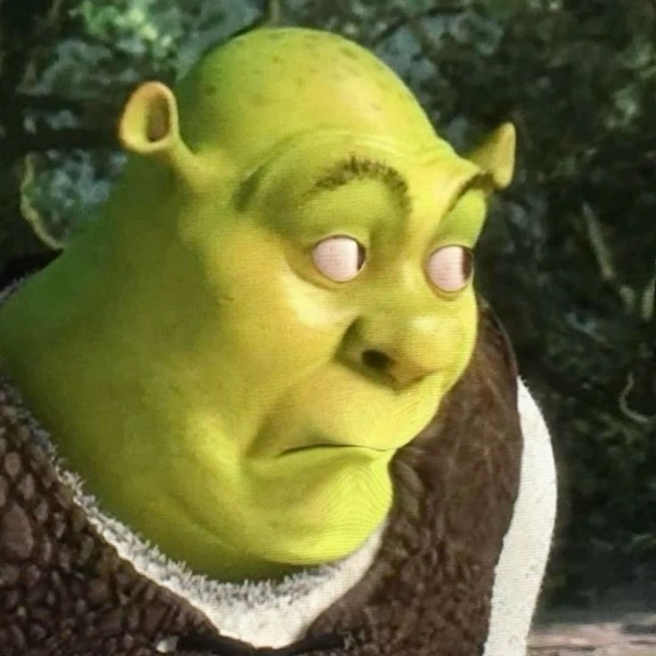 meme chẳng hiểu gì