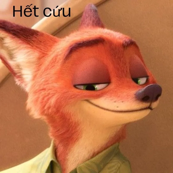 meme chịu trận