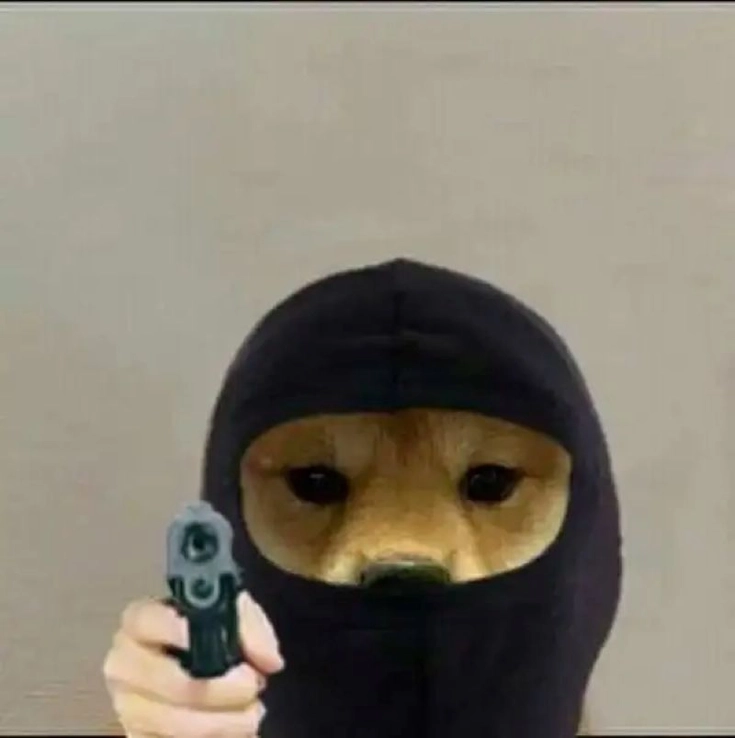 meme chó bịt mặt cầm súng