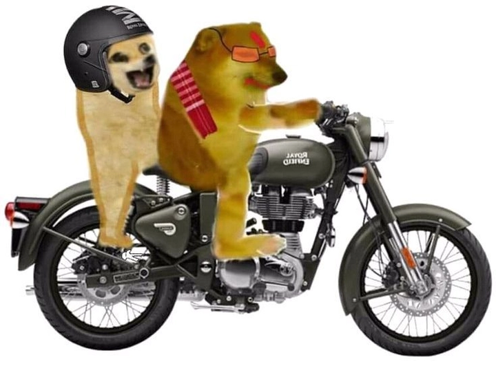 meme chó giận dữ