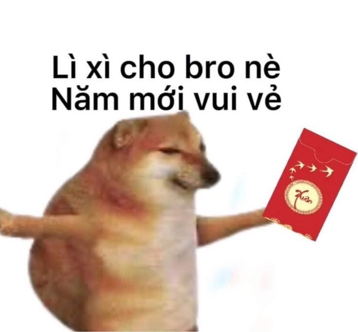 meme chó mặc áo dài