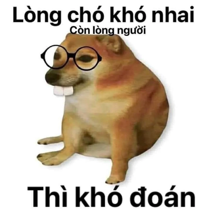 meme chó meme bá đạo