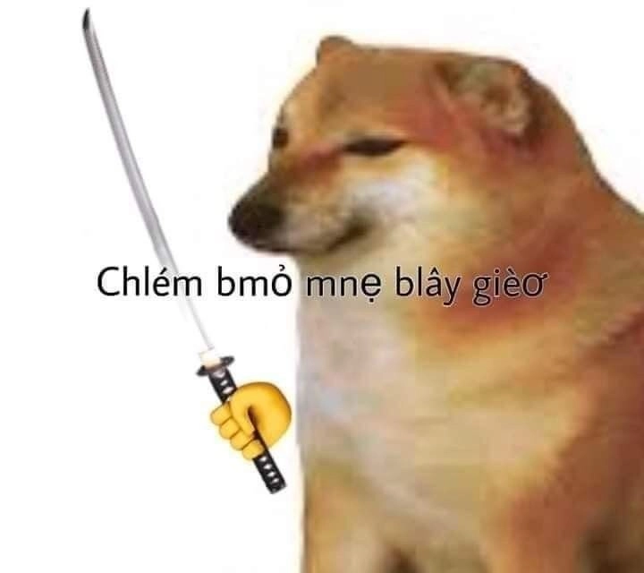 meme chó meme cute