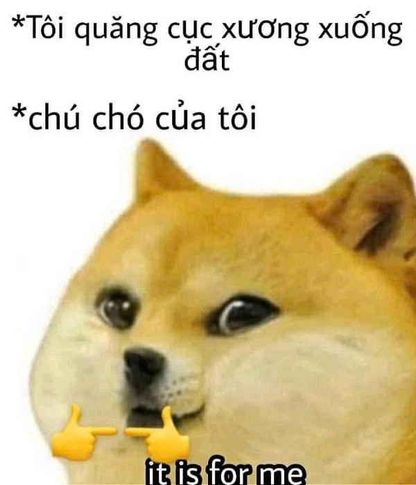 meme chó shiba cầm súng