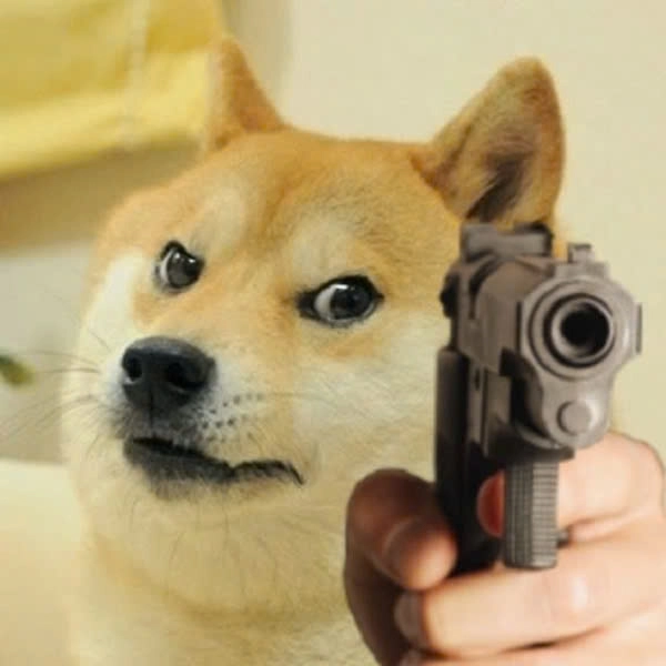 meme chó shiba má hồng