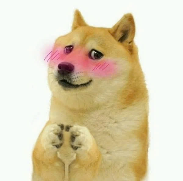 meme chó shiba nghiêng đầu ngầu