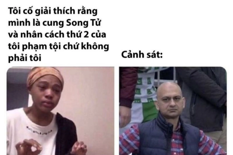meme chống nạnh troll