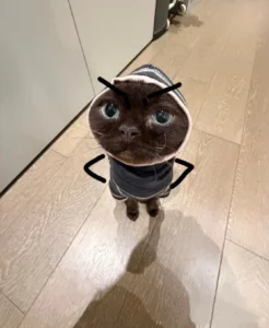 meme chống tay bá đạo vui