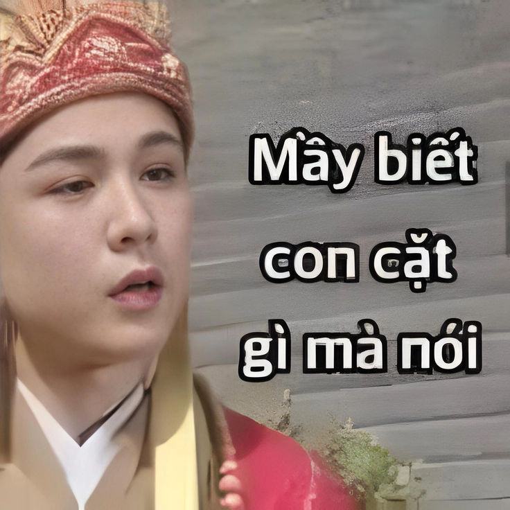 meme chửi bá đạo