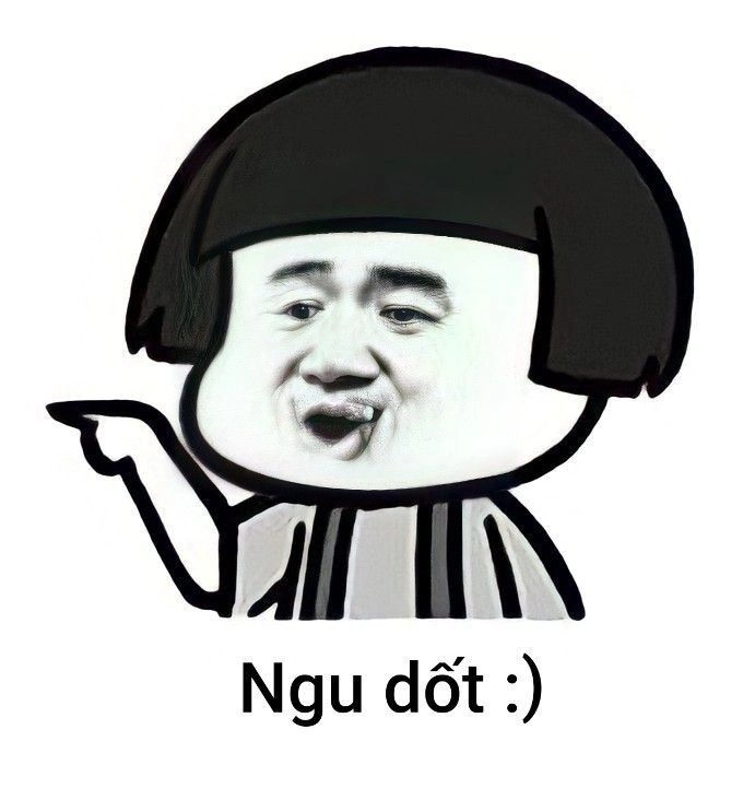 meme chửi gấu trúc