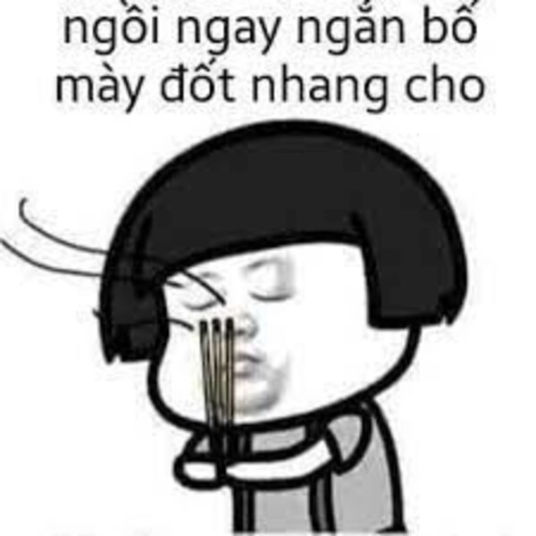 meme chửi hài
