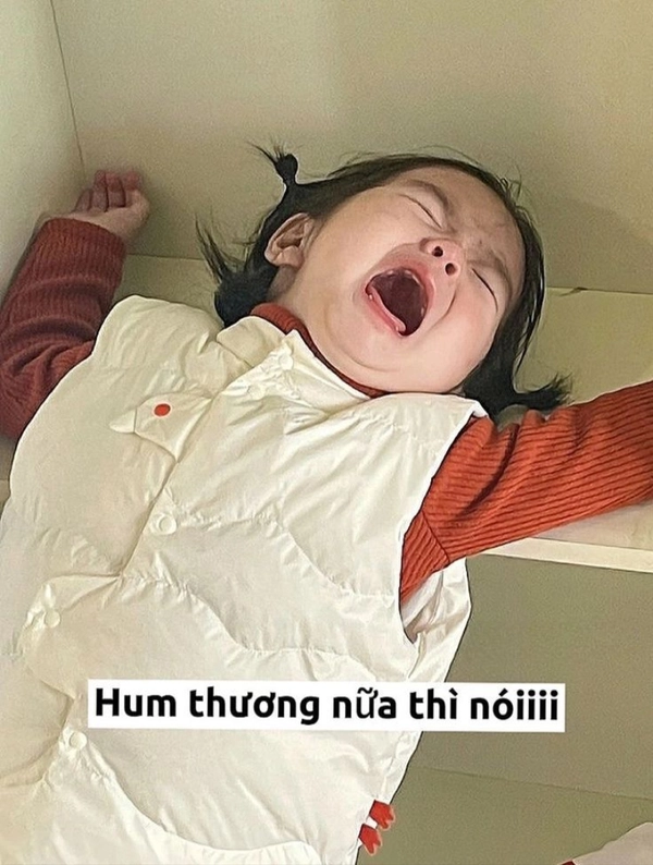 meme còn gì nữa đâu mà khóc