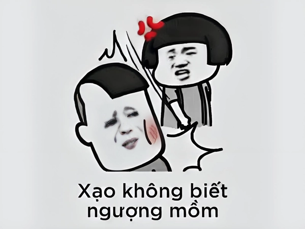 meme đấm nhau động vật