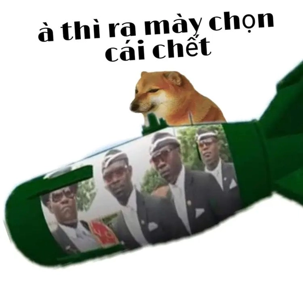 meme đánh nhau chó