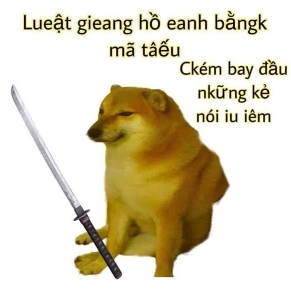 meme đánh nhau mèo