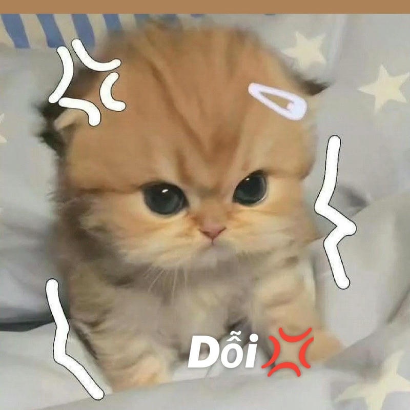 meme dỗi nhẹ mà nhìn yêu ghê