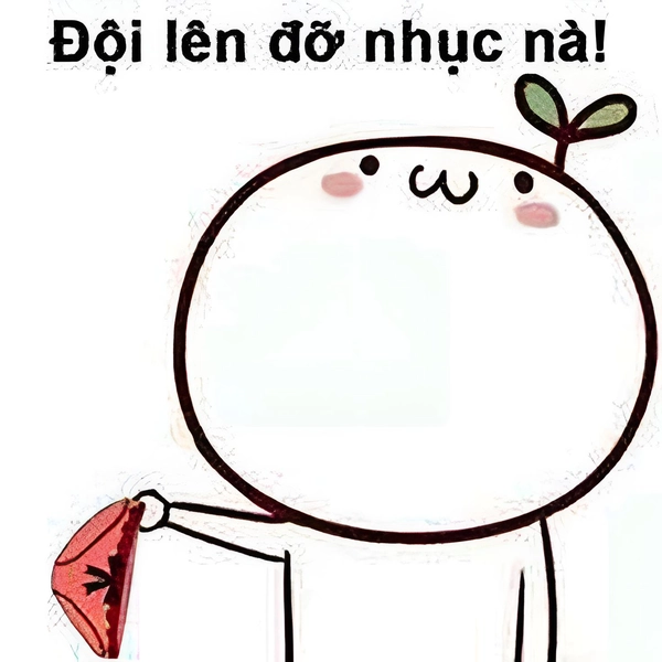 meme đội quần chế hài