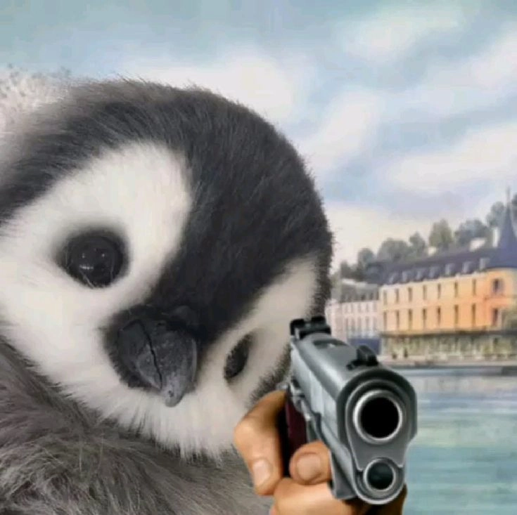 meme gấu cầm súng