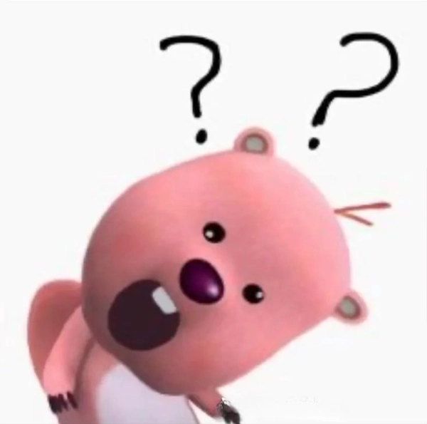 meme gấu hồng hỏi chấm