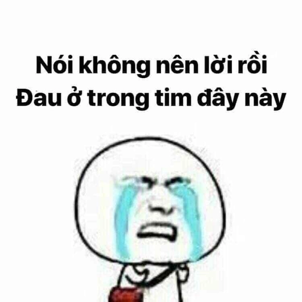 meme gấu trắng khóc