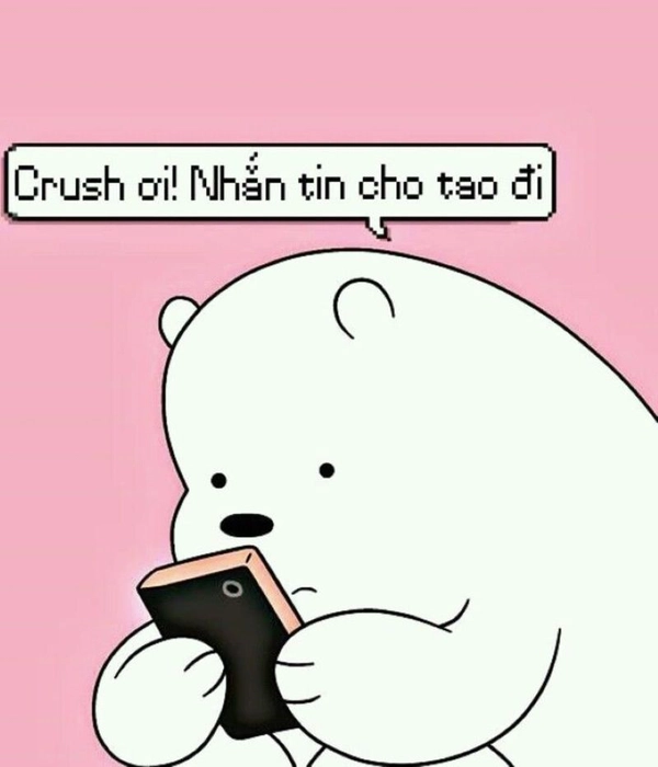 meme gấu trắng mặt chờ