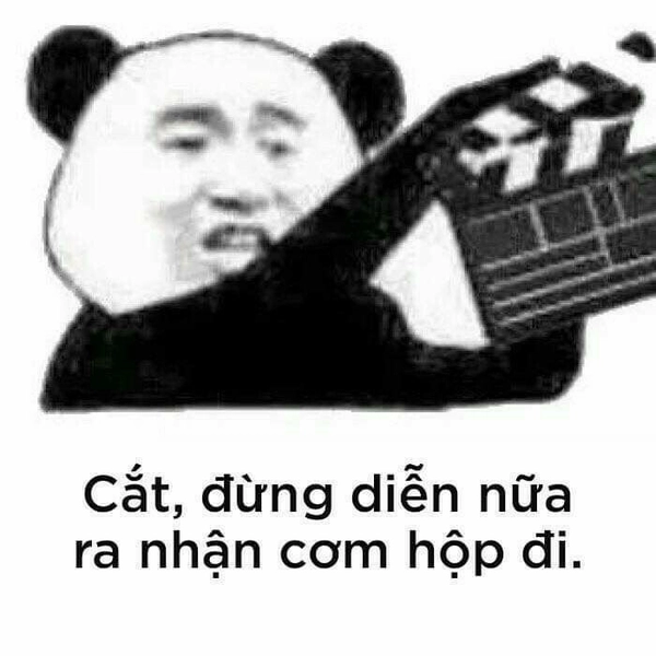 meme gấu trúc bựa trung quốc
