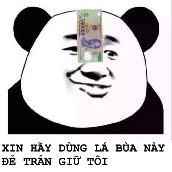 meme gấu trúc cười