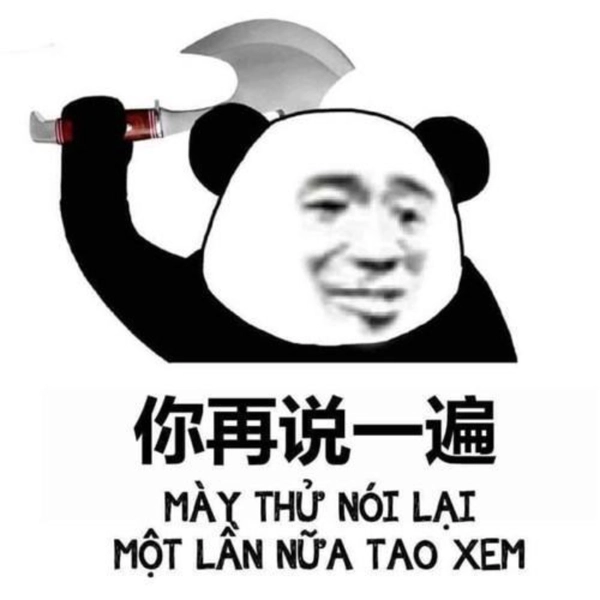 meme gấu trúc đáng yêu